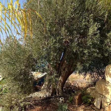 Sunset View Mermaid *