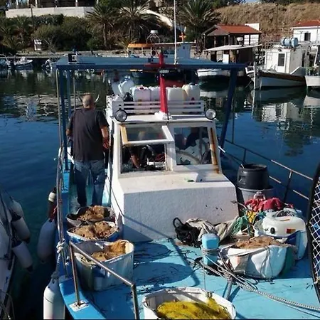 Sunset View Mermaid *