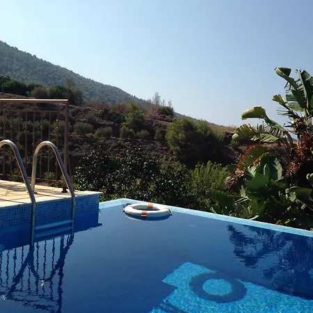 Sunset View Mermaid * Pomósz