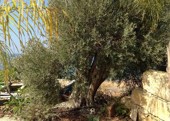 Sunset View Mermaid *