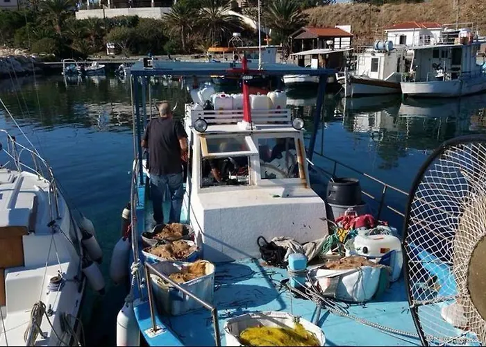 Sunset View Mermaid *