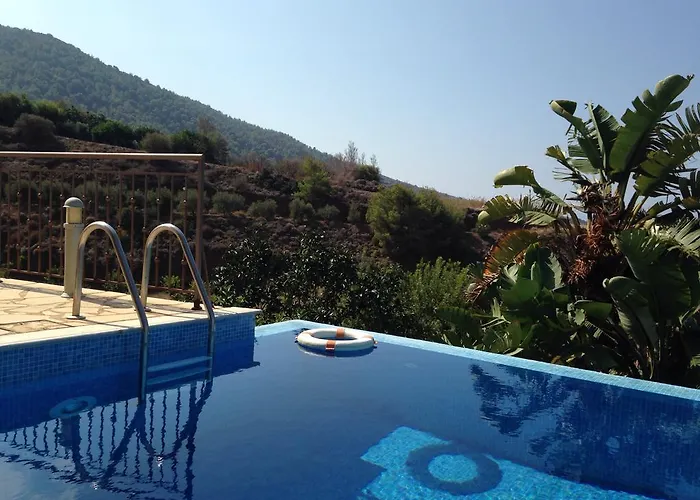 Sunset View Mermaid * Pomos